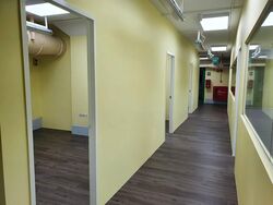 Hougang Street 52 (D19), Shop House #566113401